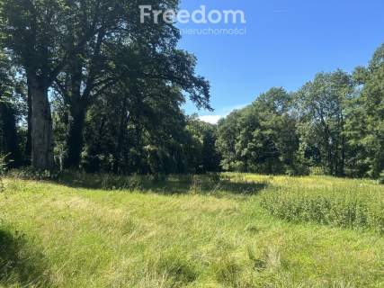 Pięknie położony, zabytkowy dworek z parkiem
