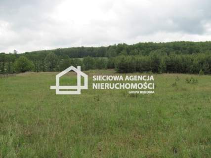 Na sprzedaż duża działka 5600m2, Marszewska Góra