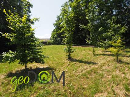Działka siedliskowa 1584 m2 37x43 Ochoża-Pniaki