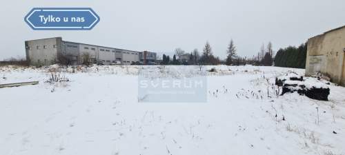Dwie Hale na sprzedaż w Brzezinach