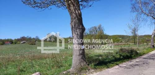 Na sprzedaż działka bud-rolna11575m2Buszkowy Górne