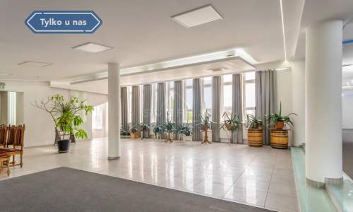 Sala weselna na sprzedaż Brzeziny Kolonia