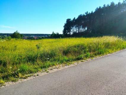 Działka tuż przy lesie, Bilcza