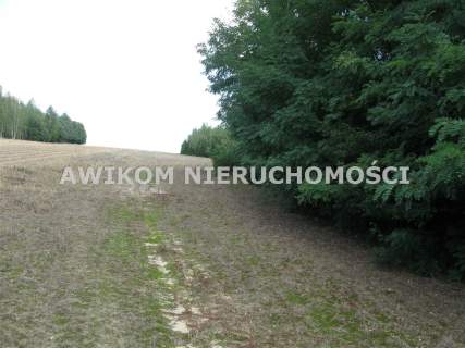 Działka rolna na sprzedaż, 221500 m2, Esterka