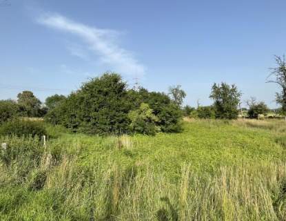 Działka 5400m2 Gostyczyna
