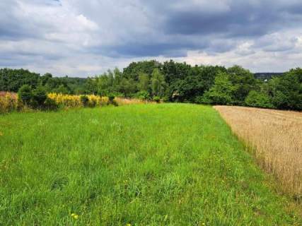 Niebyła Świńczów, dz. 7 a. Do Krakowa około 12km