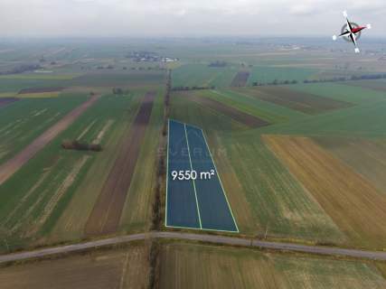 Działka rolna Jedlno Pierwsze