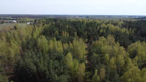 Urokliwa działka otoczona lasem z dostępem do rzeki