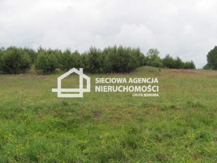 Na sprzedaż duża działka 5600m2, Marszewska Góra