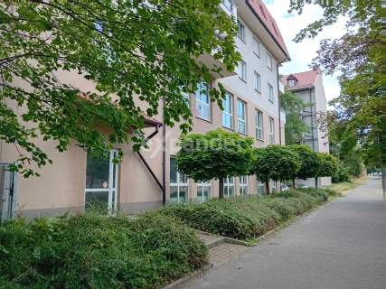 2 miejsca w hali garażowej- lokal na Parterze