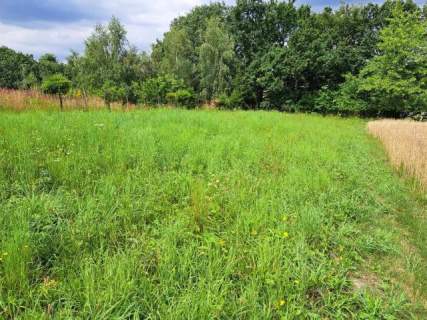 Niebyła Świńczów, dz. 7 a. Do Krakowa około 12km