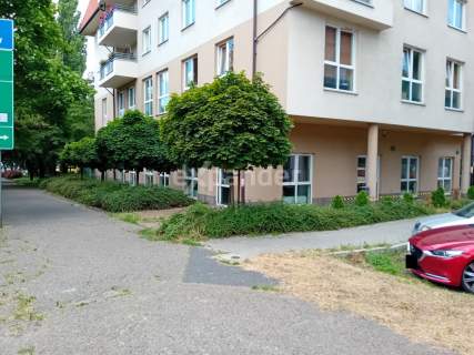 2 miejsca w hali garażowej- lokal na Parterze