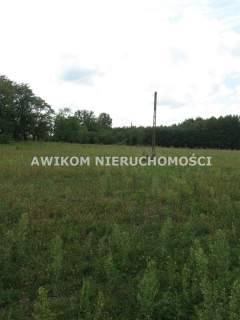 Działka rolna na sprzedaż, 221500 m2, Esterka