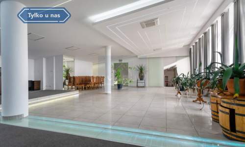 Sala weselna na sprzedaż Brzeziny Kolonia
