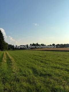 Działka w Zaborzu