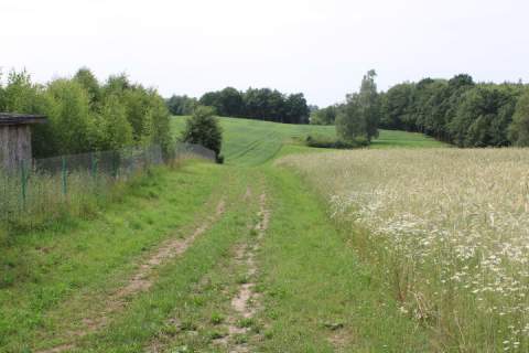Piękne działki w Borowym Lesie na sprzedaż