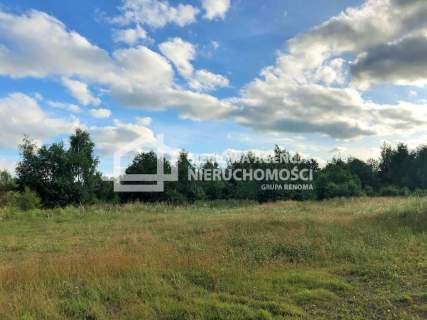 Działka produkcyjno- usługowa w Łebczu