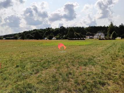 POLICHNO PIĘKNA DZIAŁKA NAD NOTECIĄ 3,5ha