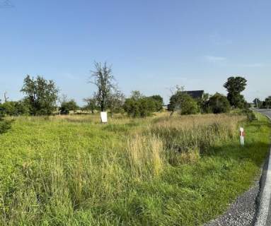Działka 5400m2 Gostyczyna