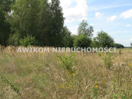 Działka rolna na sprzedaż, 221500 m2, Esterka