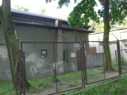 Magazyn na sprzedaż, 900 m2, Bytom
