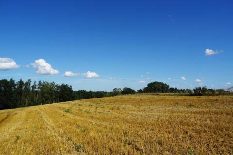 Działka z lasem - 4,83ha - obszar Natura 2000 