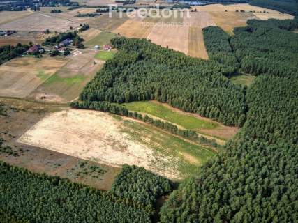 Działka 7,55 ha, Łomnica