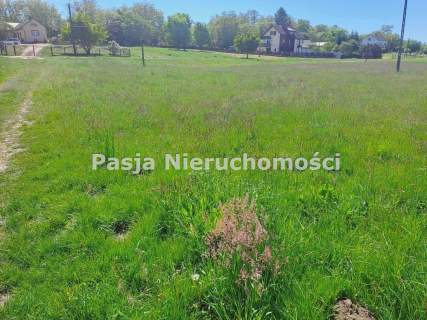 Działka w Popłacinie