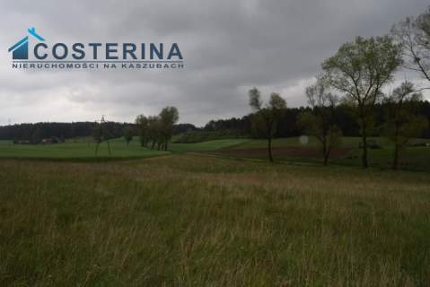 Działki letniskowe nad jeziorem