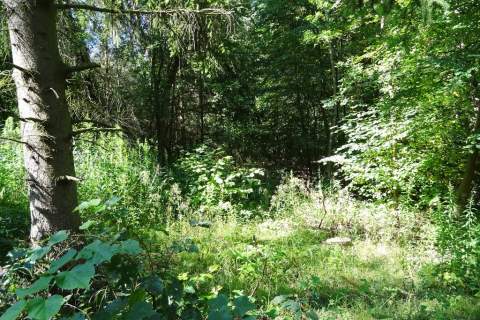 Działka z lasem - 4,83ha - obszar Natura 2000 
