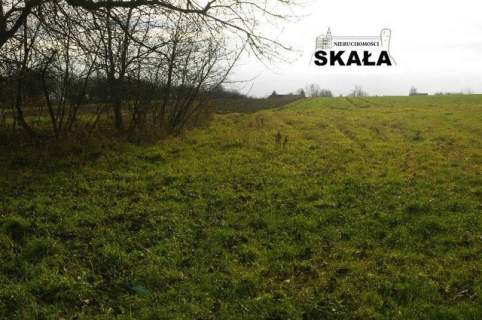Krasieniec Zakupny, gmina Iwanowice