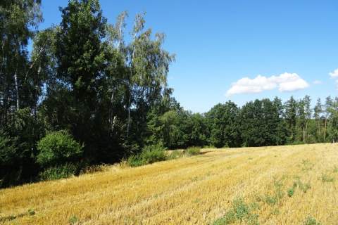 Działka z lasem - 4,83ha - obszar Natura 2000 
