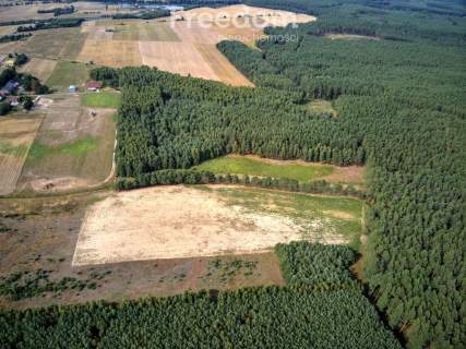 Działka 7,55 ha, Łomnica