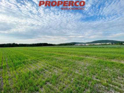 Działka 1500m2, Piotrowiec gm.Łopuszno