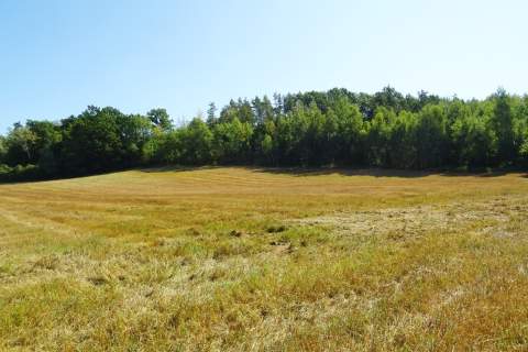 Działka z lasem - 4,83ha - obszar Natura 2000 