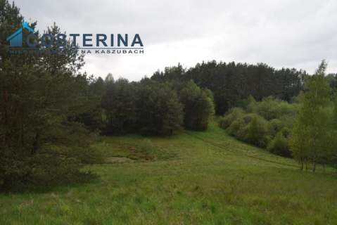 Działki letniskowe nad jeziorem