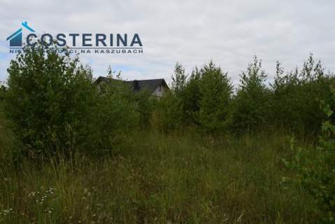 Działka budowlana na sprzedaż, 3005 m2, Puc