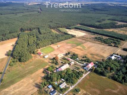 Działka 7,55 ha, Łomnica