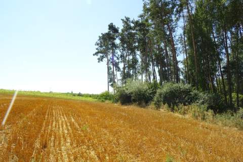 Działka z lasem - 4,83ha - obszar Natura 2000 