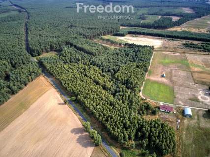 Działka 7,55 ha, Łomnica