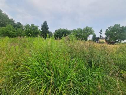 Gotowiec inwestycyjny