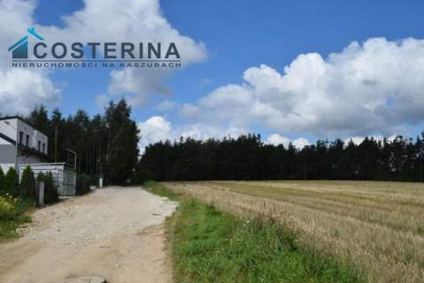 Działka inwestycyjna na sprzedaż, 8773 m2, Wielki Klincz
