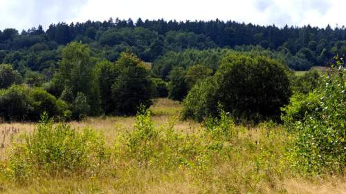 NOWA NIŻSZA CENA DZIAŁKA INWESTYCYJNA PRZY WYCIĄGU NARCIARSKIM,...