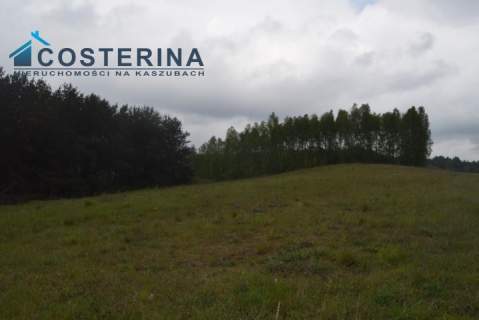 Działki letniskowe nad jeziorem