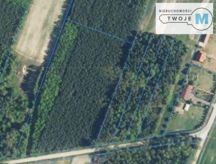 Działka Leśna Na Sprzedaż - Atrakcyjna Cena