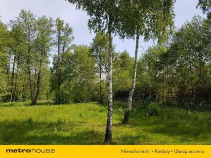 DZIAŁKA DLA CIEBIE MIŁOŚNIKU CISZY I SPOKOJU 