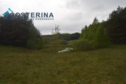Działki letniskowe nad jeziorem