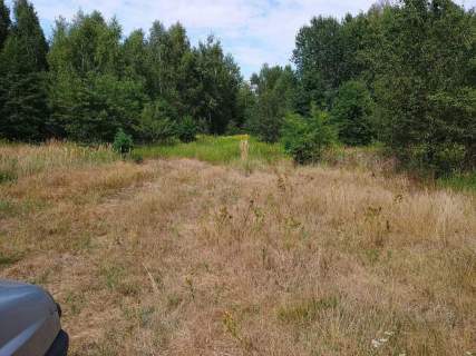 Działka rolna prawie 1 ha gmina Leżajsk
