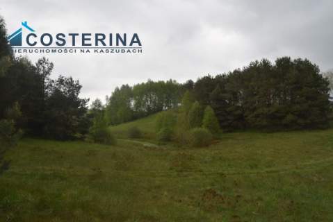 Działki letniskowe nad jeziorem