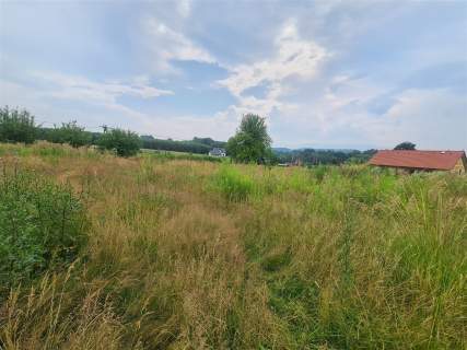 Gotowiec inwestycyjny